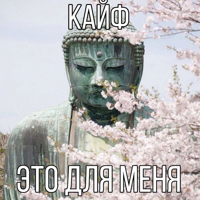 Аватар канала Roll🪷