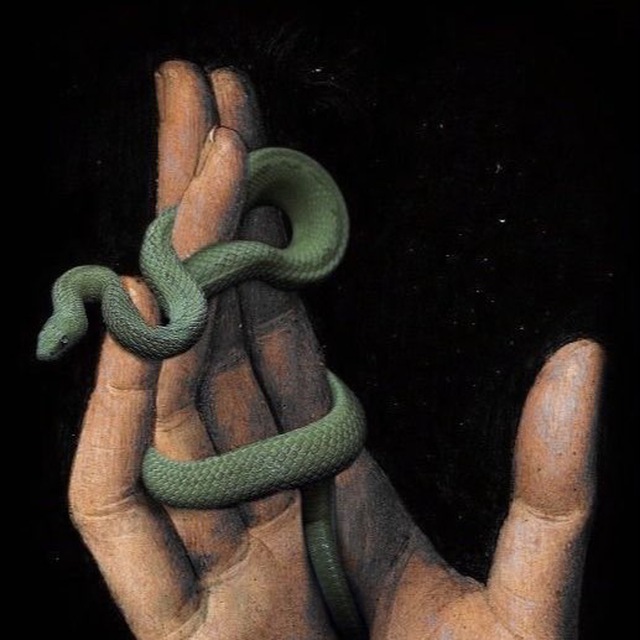 Аватар канала Snake Club 🐍