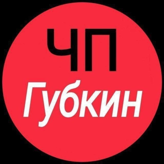 Аватар канала ЧП Губкин