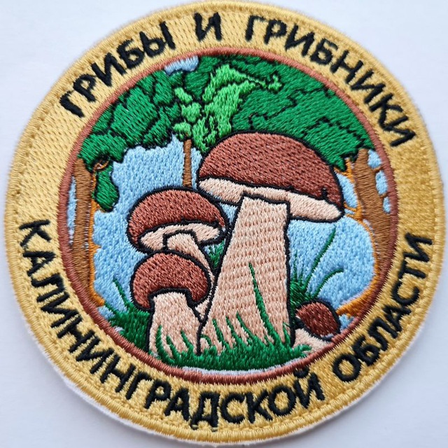Аватар канала ГРИБНАЯ БАНДА КАЛИНИНГРАДА