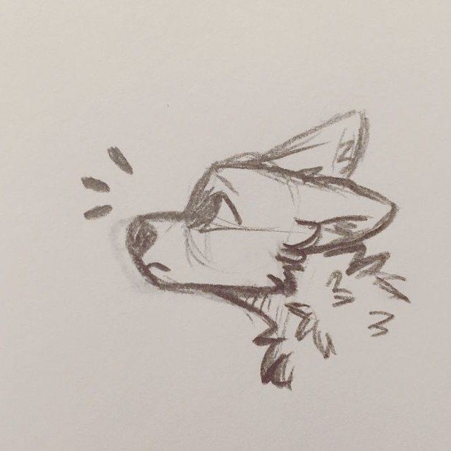 Аватар канала FURRY GAY YIFF🫶