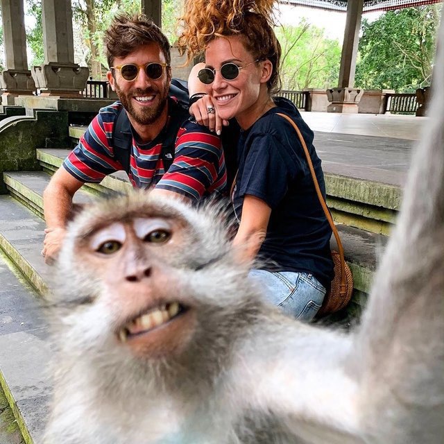 Аватар канала Обезьянка 🐒