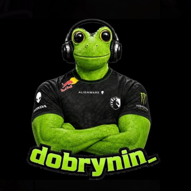 Аватар канала ⭕️ DobryNin Stream ⭕️
