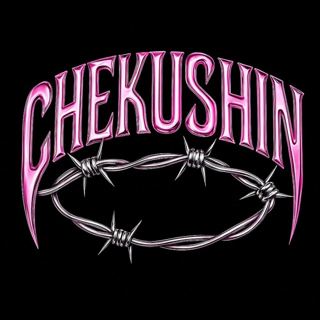 Аватар канала CHEKUSHIN