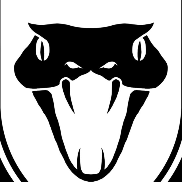 Аватар канала BLACK MAMBA GROUP