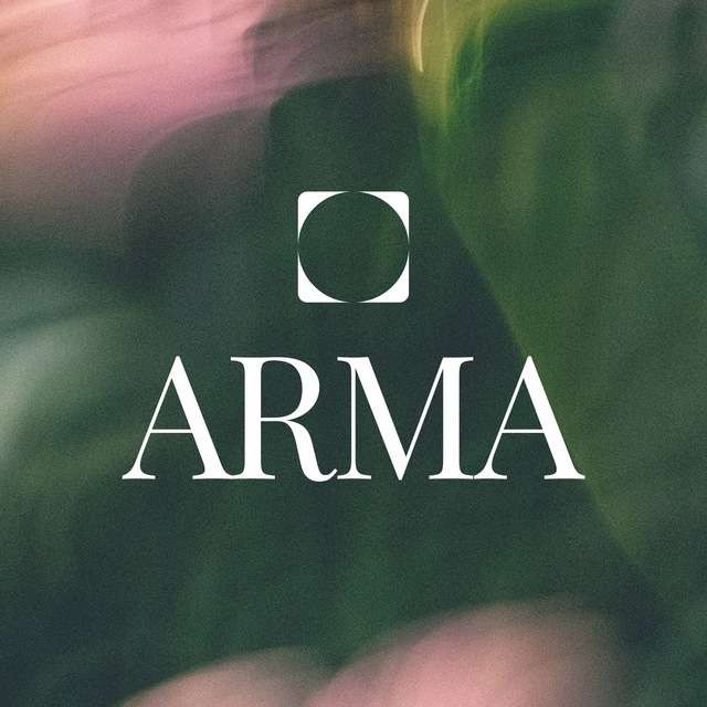 Аватар канала ARMA SCHOOL