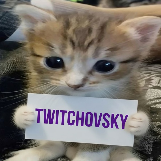 Аватар канала TWITCHOVSKY