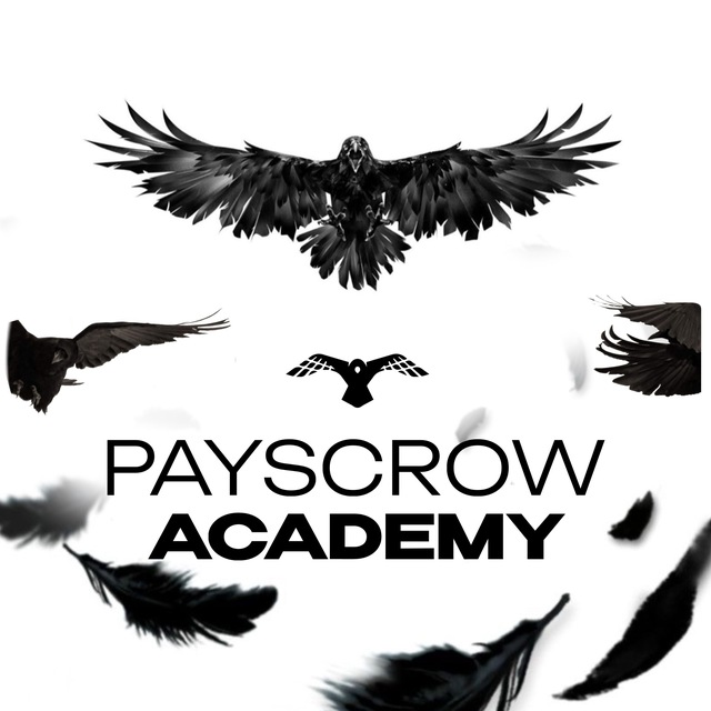 Аватар канала Payscrow Academy