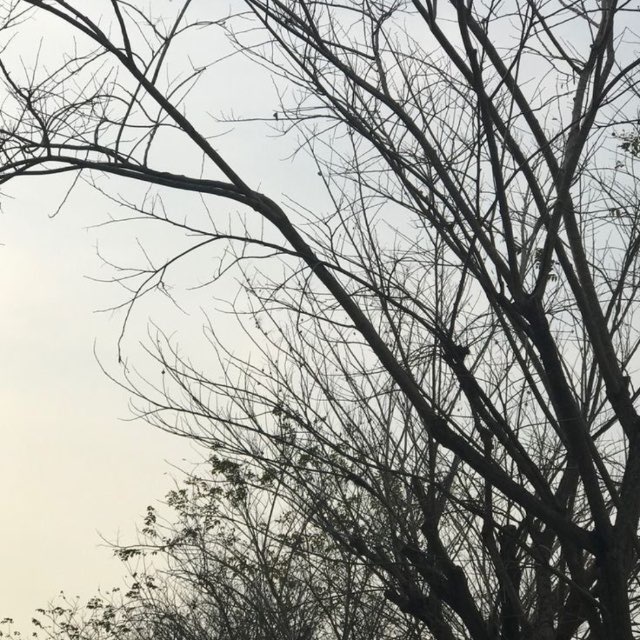 Аватар канала Nymphe 𑄻𑄾