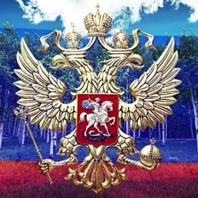 Аватар канала ПО СУТИ⚡️| НОВОСТИ