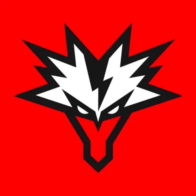 Аватар канала Team Yandex Dota 2