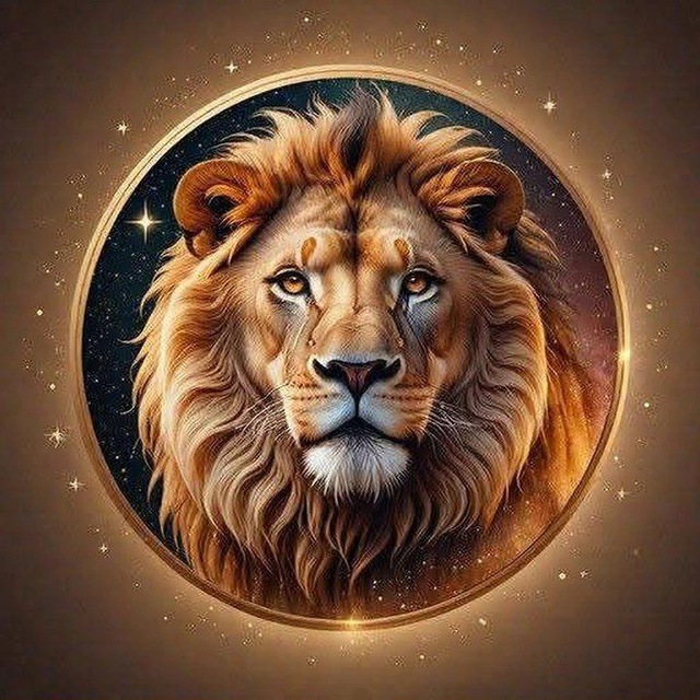 Аватар канала 🦁 MOTIVAÇÃO DIÁRIA 🦁
