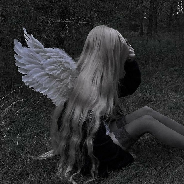 Аватар канала wipilds // темки, язычки