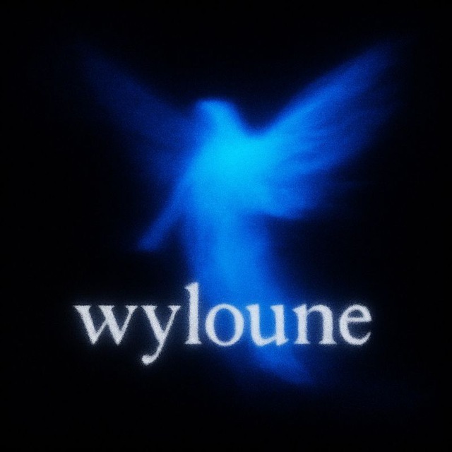 Аватар канала wyloune