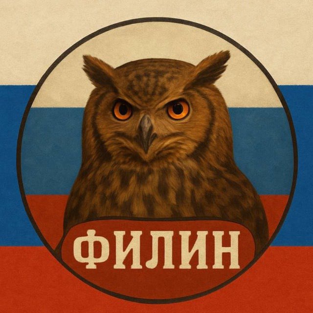 Аватар канала ФИЛИН - НОВОСТИ