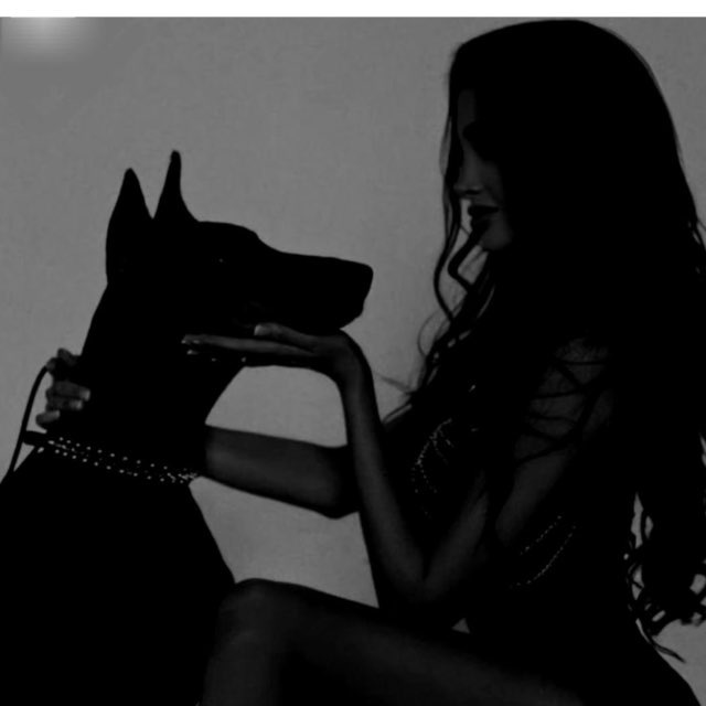 Аватар канала Тина Рейвен/Автор🖤