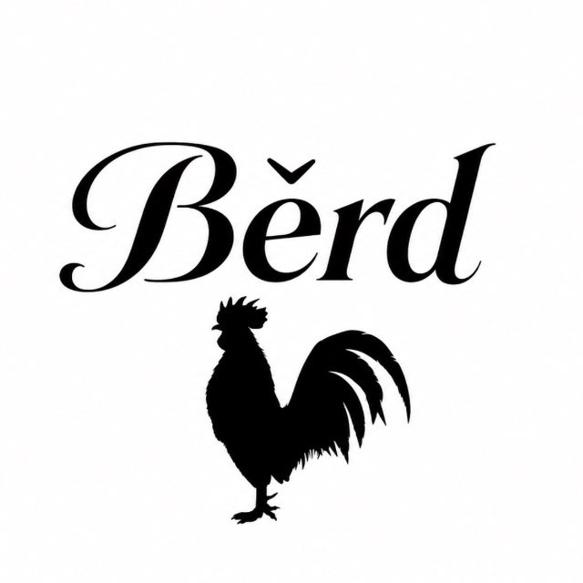 Аватар канала Běrd