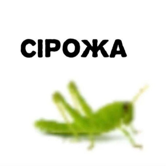 Аватар канала 𝘀𝗲𝘁𝗿𝗶𝗹𝗲𝗵𝘁𝗼🪦🫑