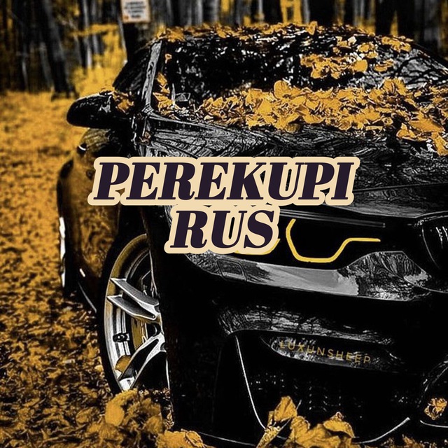 Аватар канала PEREKUPI RUS