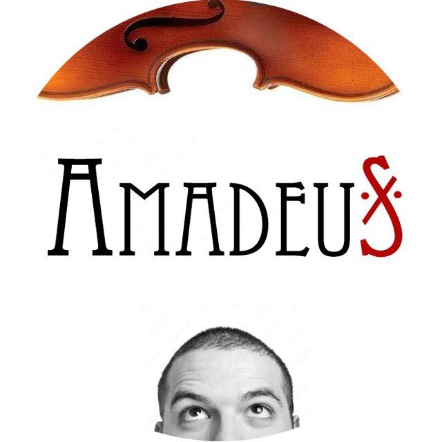 Аватар канала Amadeus