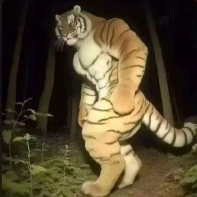 Аватар канала Macan in gambling