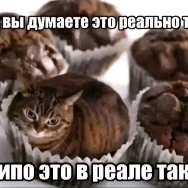 Аватар канала Ну типо это в реале так