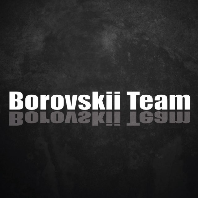 Аватар канала BorovskiiTeam 🏆