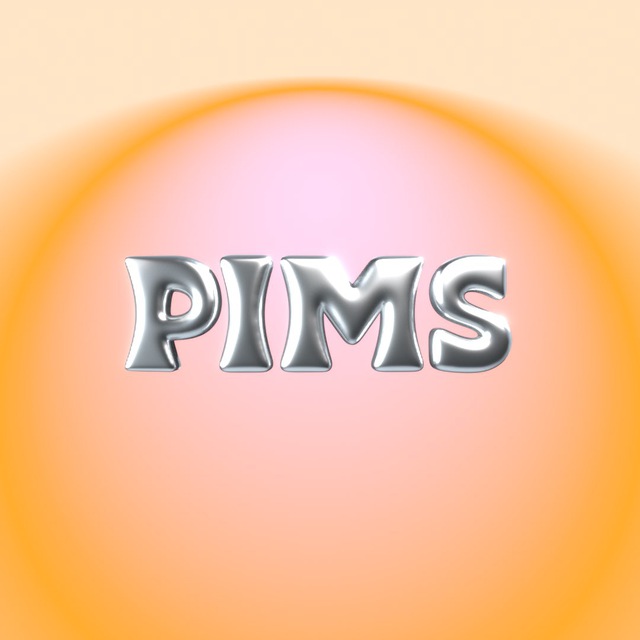 Аватар канала PIMS Сибирь