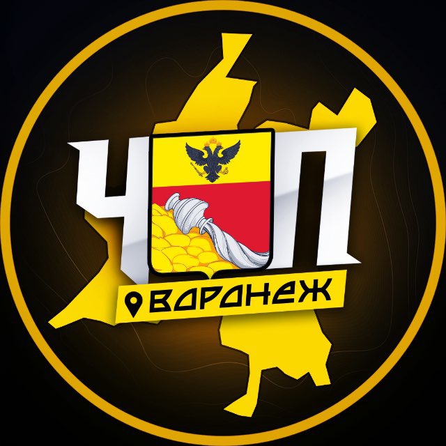 Аватар канала ЧП | ВОРОНЕЖ