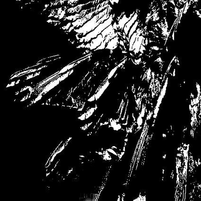 Аватар канала 𓏪̣̣ ❯❯̸ ⃟𝐌̸̻̚𝐑͆͟.̠̃͡𝐓̷𝐇̻͘𝐄̛͙͍ ❯̸ ⃟𝐅̹̹𝐀̵𝐍̴𝐆̷ 𝐅̸͞𝐈͠𝐆͓͖͇𝐇͘͡𝐓͍