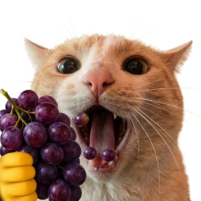 Аватар канала 👻свага🍇