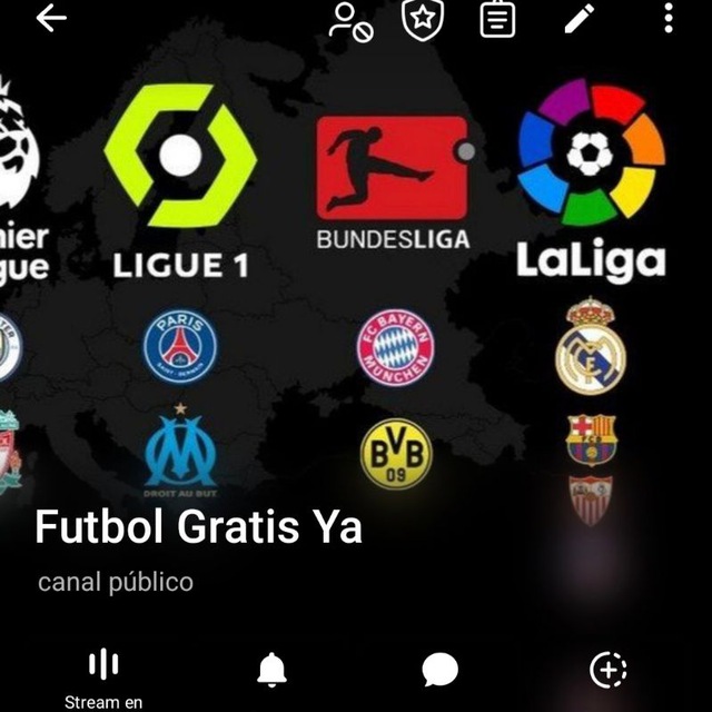 Grupo respaldo futbol