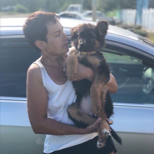 Аватар канала О нас, приют Толстовка.😾🐶
