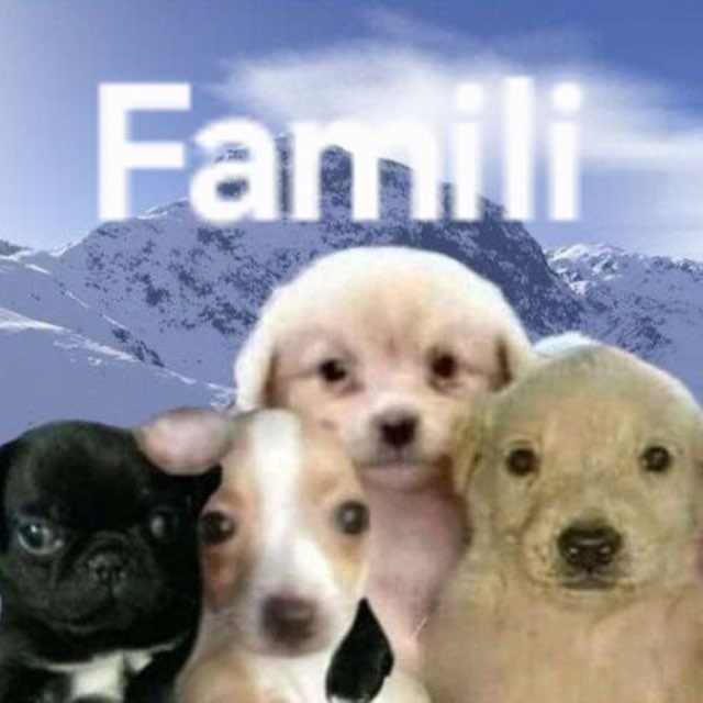 сквад айв офишалс