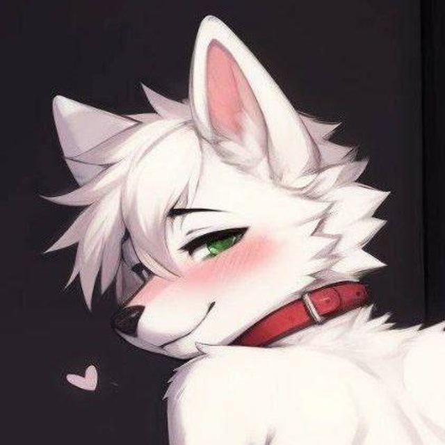 Аватар канала Furry Yiff Gay world 💝