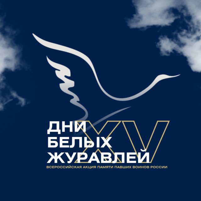 Аватар канала Дни белых журавлей 🇷🇺
