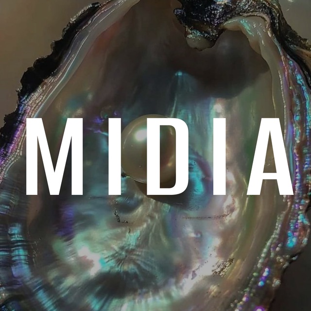 Аватар канала MIDIA