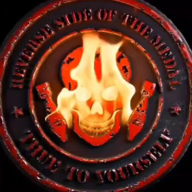 Аватар канала REVERSE SIDE OF THE MEDAL🏴‍☠