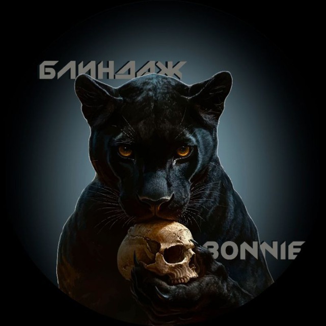Аватар канала Блиндаж Bonnie 2.0
