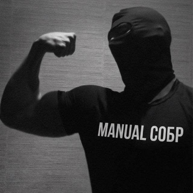 Аватар канала INFO #Manual⚔️