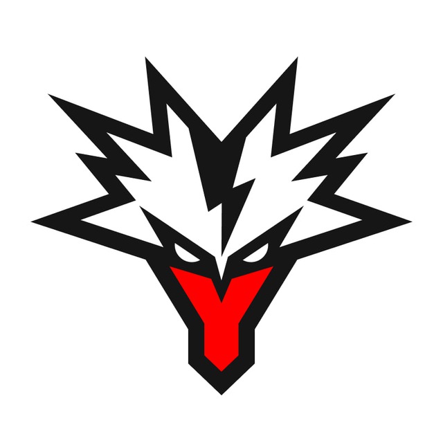 Аватар канала Team Yandex MLBB