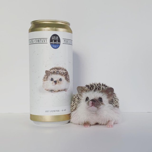 Аватар канала Kirtaniel