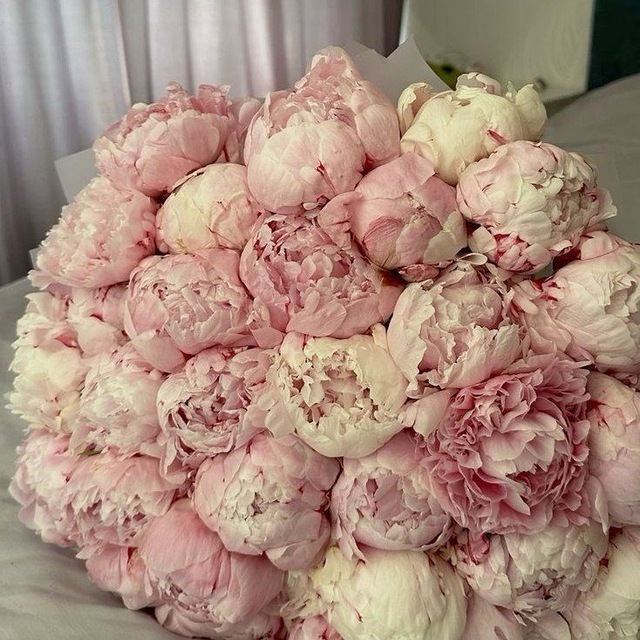 Аватар канала 𝓜🎀
