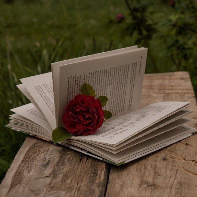 Аватар канала 🥀 ᴇꜱᴄʀɪᴛᴏꜱ ʏ ʟɪʙʀᴏꜱ 📖📚