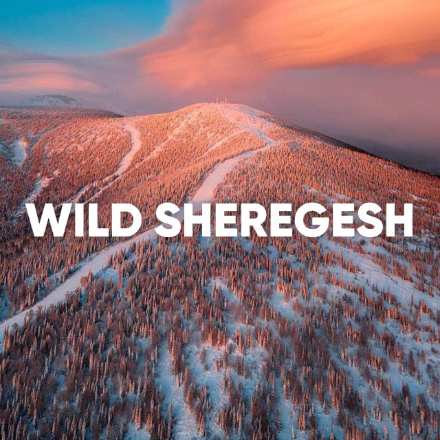 Аватар канала WILD RUSSIANS | ШЕРЕГЕШ
