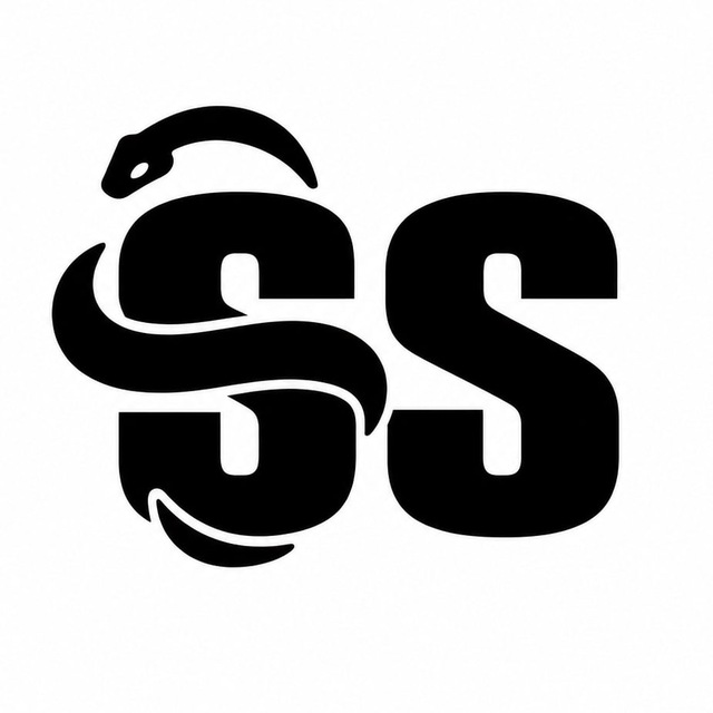 Аватар канала SS