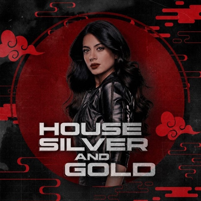Аватар канала HOUSE SILVER AND GOLD