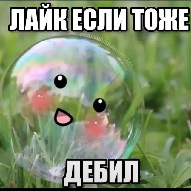 Аватар канала даша холод (максюта крутой)