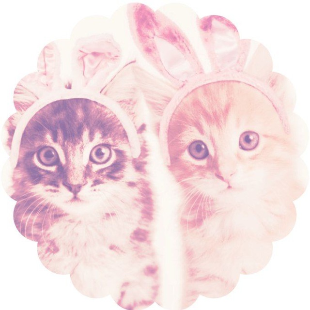 Аватар канала Bunny shop | Adopt shop