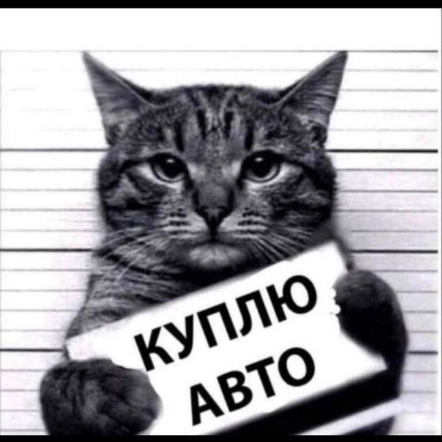 Аватар канала ZorroAvto